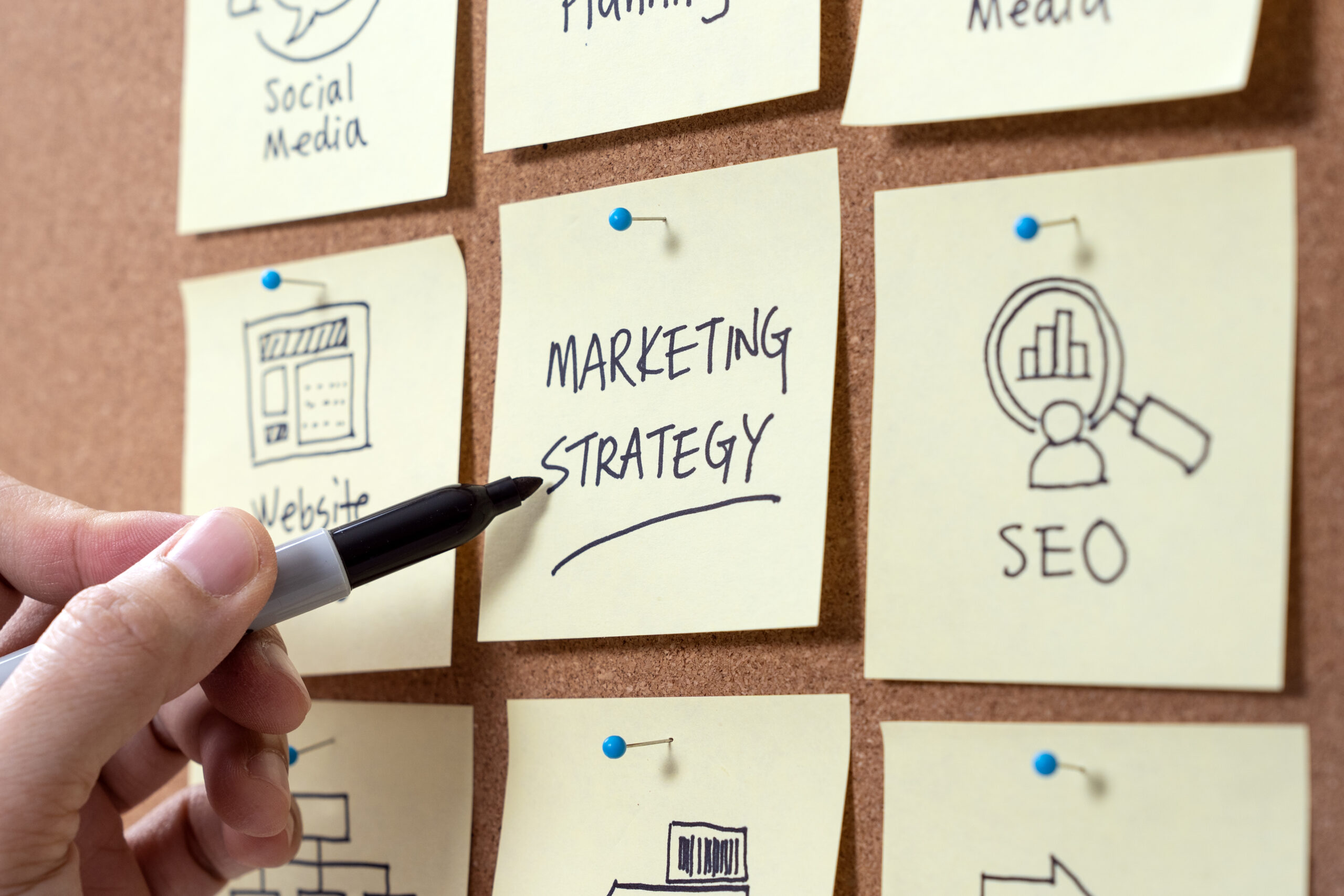 Social Media Marketing Strategy Without Spending Money